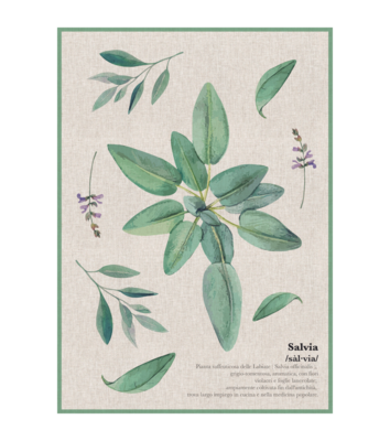 AROMAS TOWEL 50X70 Tellini S.r.l. Wholesale Clothing